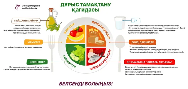 Дұрыс тамақтану қағидасы